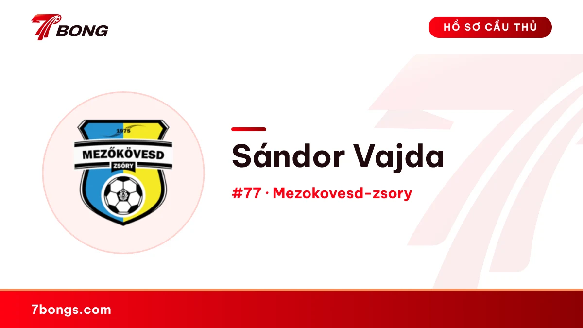 Sándor Vajda — Mezokovesd-zsory
