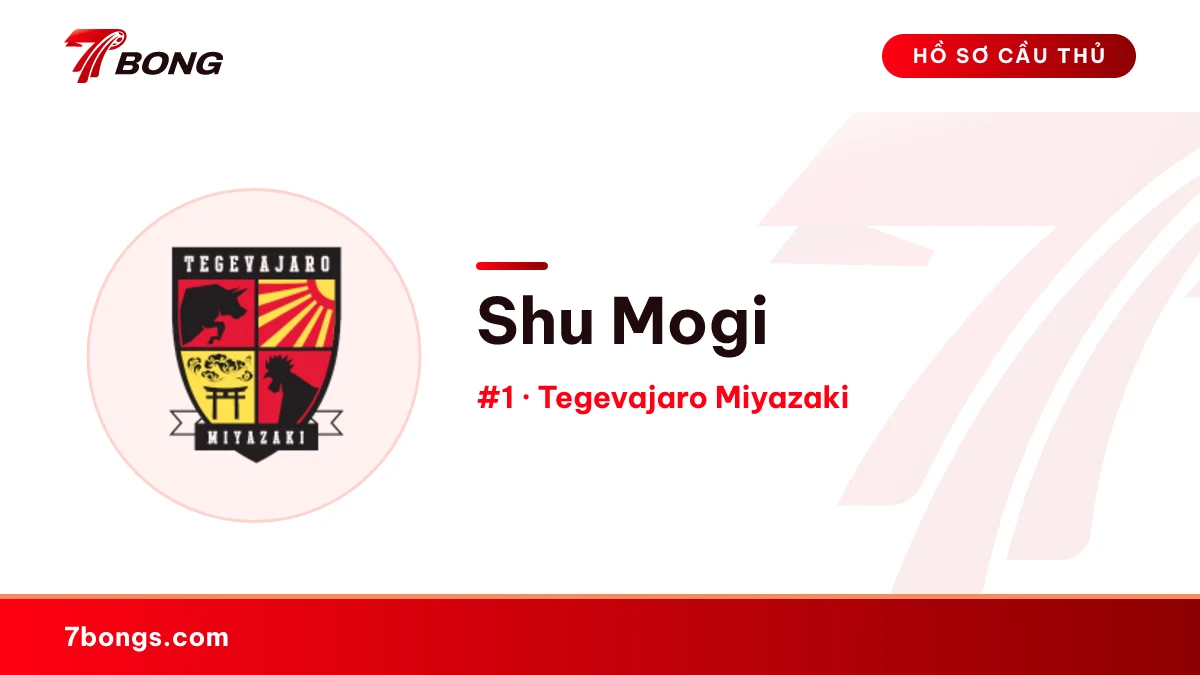 Shu Mogi — Tegevajaro Miyazaki