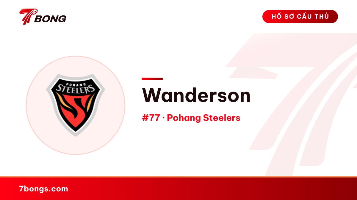 Wanderson — Pohang Steelers