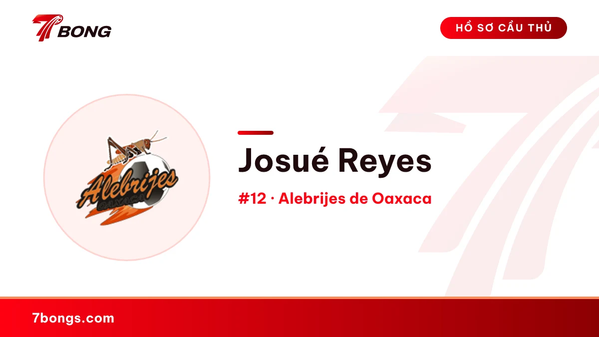 Josué Reyes — Alebrijes de Oaxaca