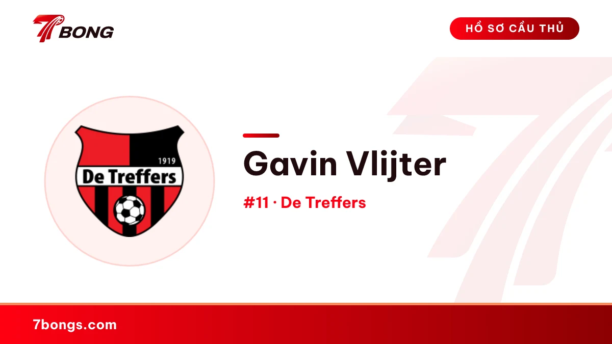 Gavin Vlijter — De Treffers