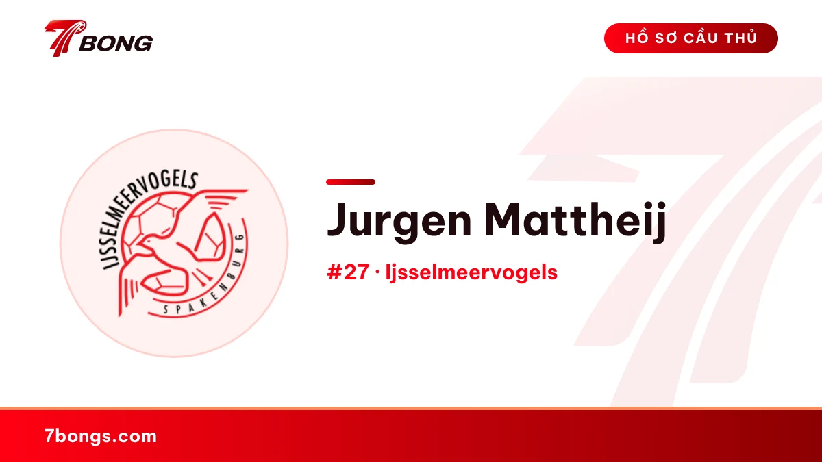 Jurgen Mattheij — Ijsselmeervogels