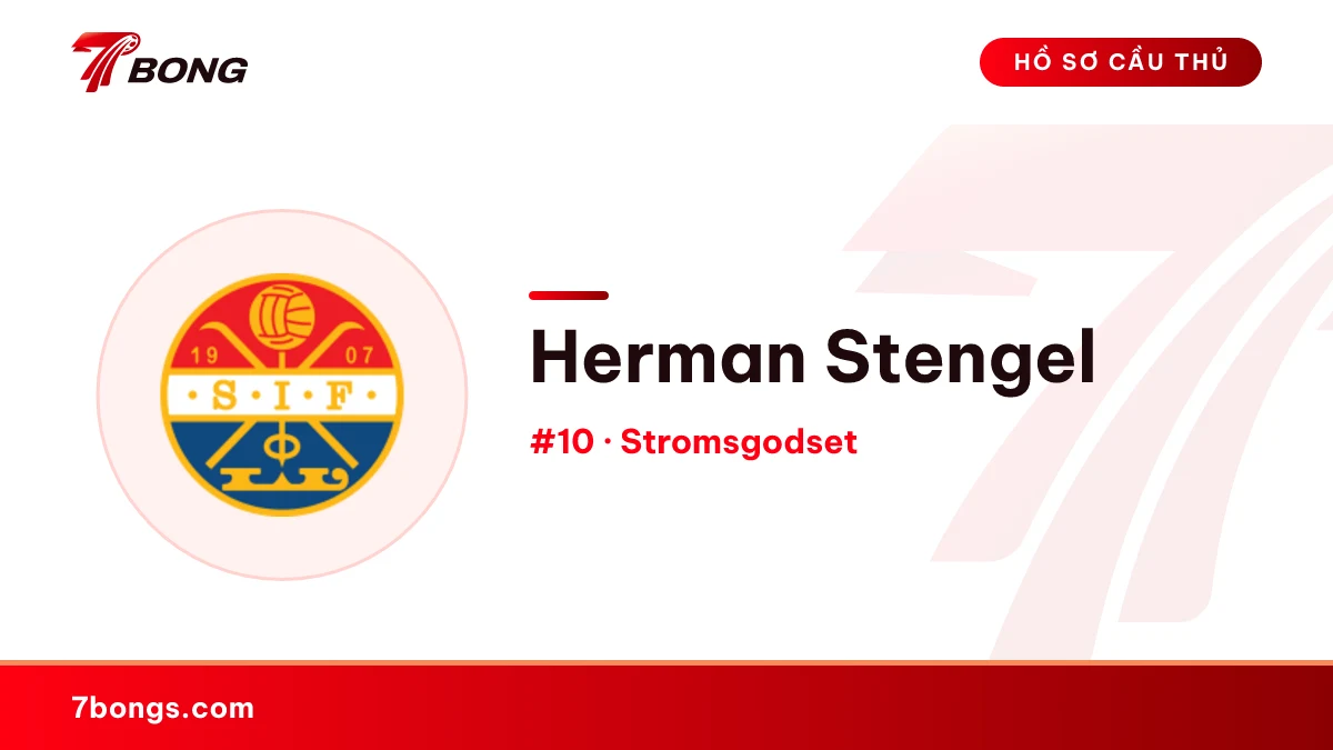 Herman Stengel — Stromsgodset