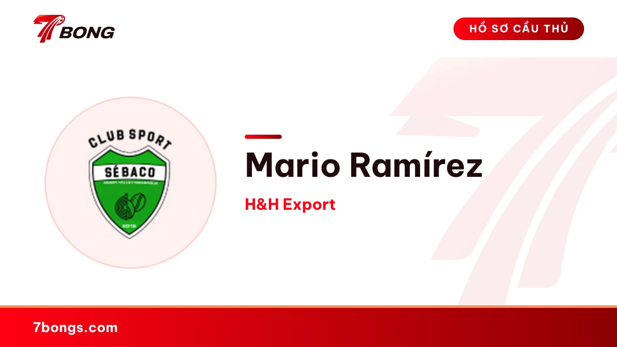 Mario Ramírez — H&H Export