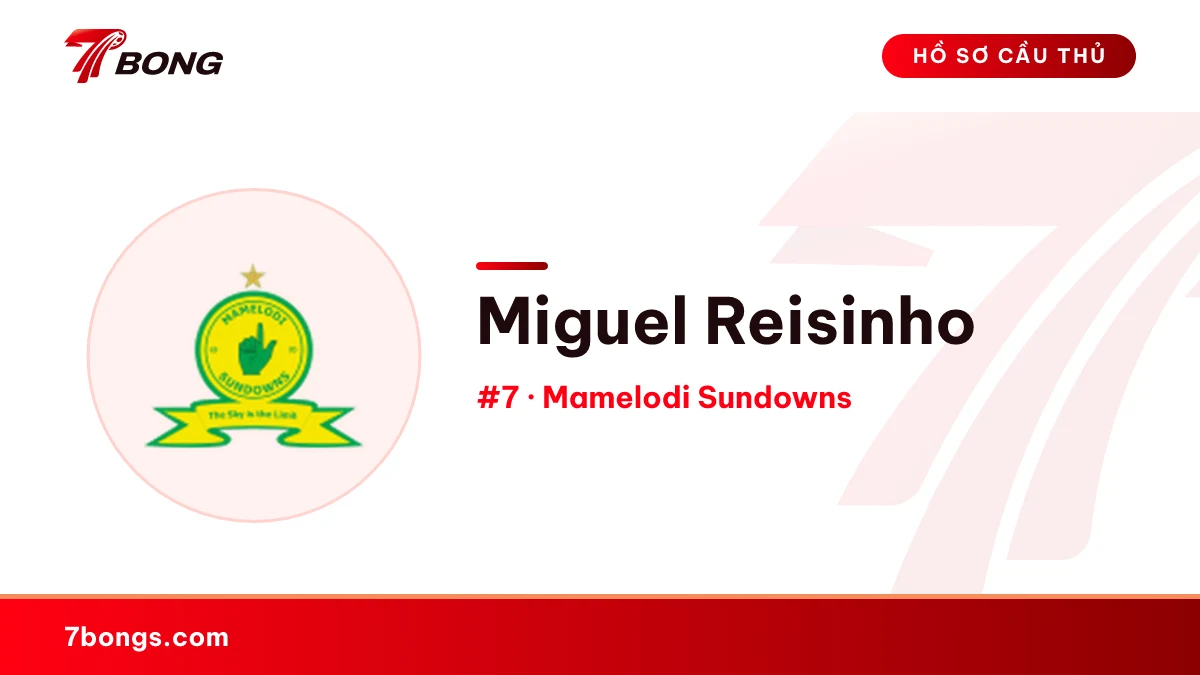 Miguel Reisinho — Mamelodi Sundowns