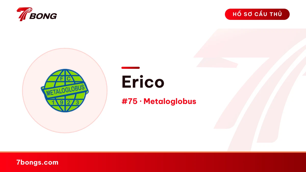 Erico — Metaloglobus
