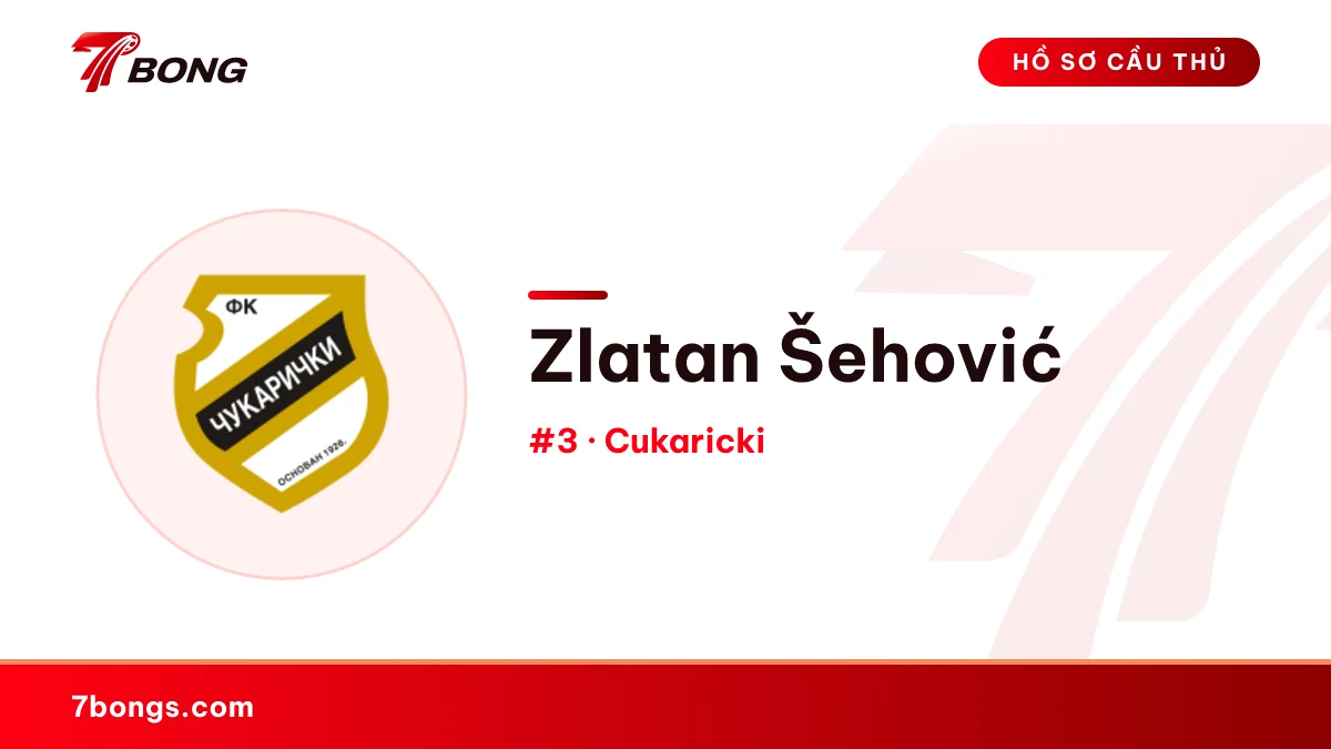 Zlatan Šehović — Cukaricki