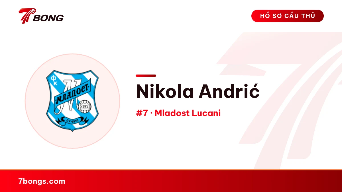 Nikola Andrić — Mladost Lucani