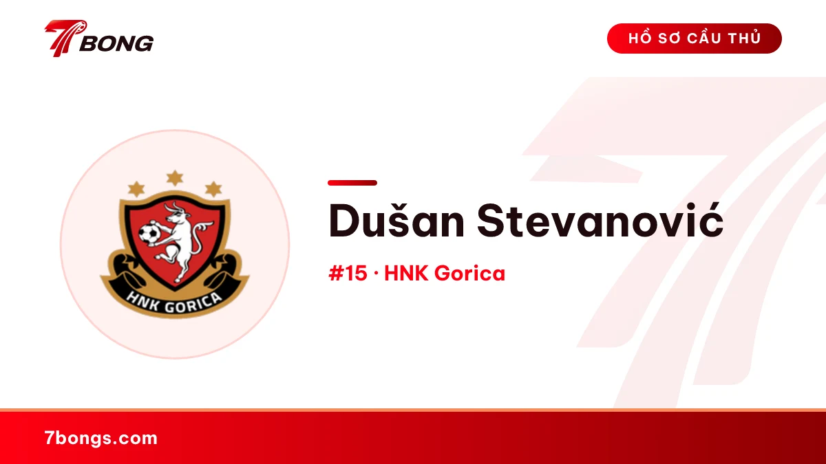 Dušan Stevanović — HNK Gorica