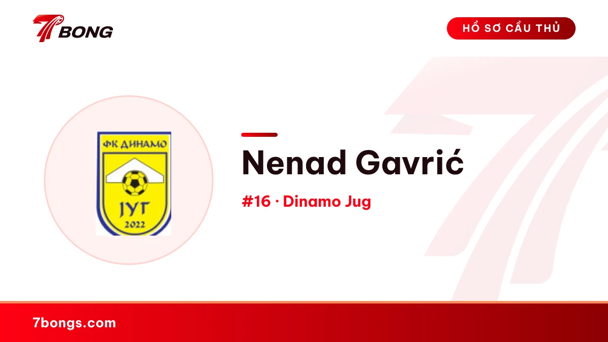 Nenad Gavrić — Dinamo Jug
