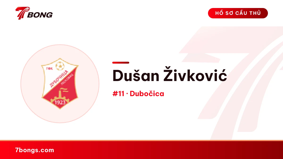 Dušan Živković — Dubočica