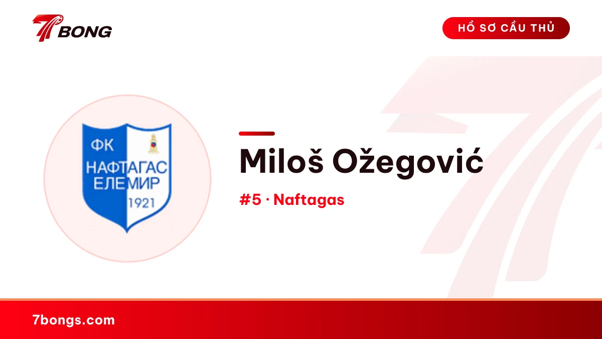 Miloš Ožegović — Naftagas