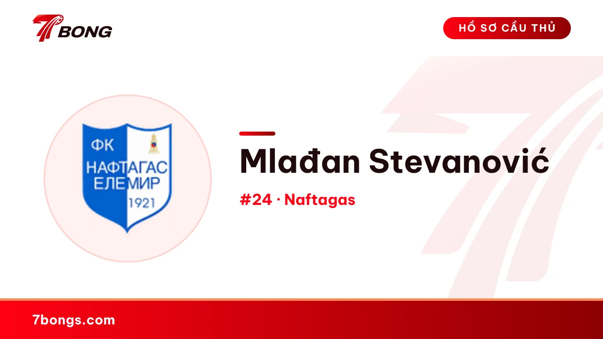Mlađan Stevanović — Naftagas
