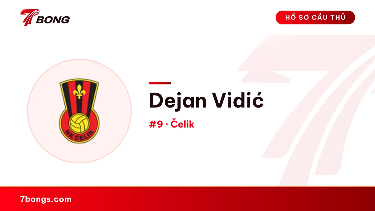 Dejan Vidić — Čelik