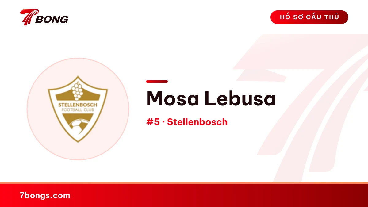 Mosa Lebusa — Stellenbosch