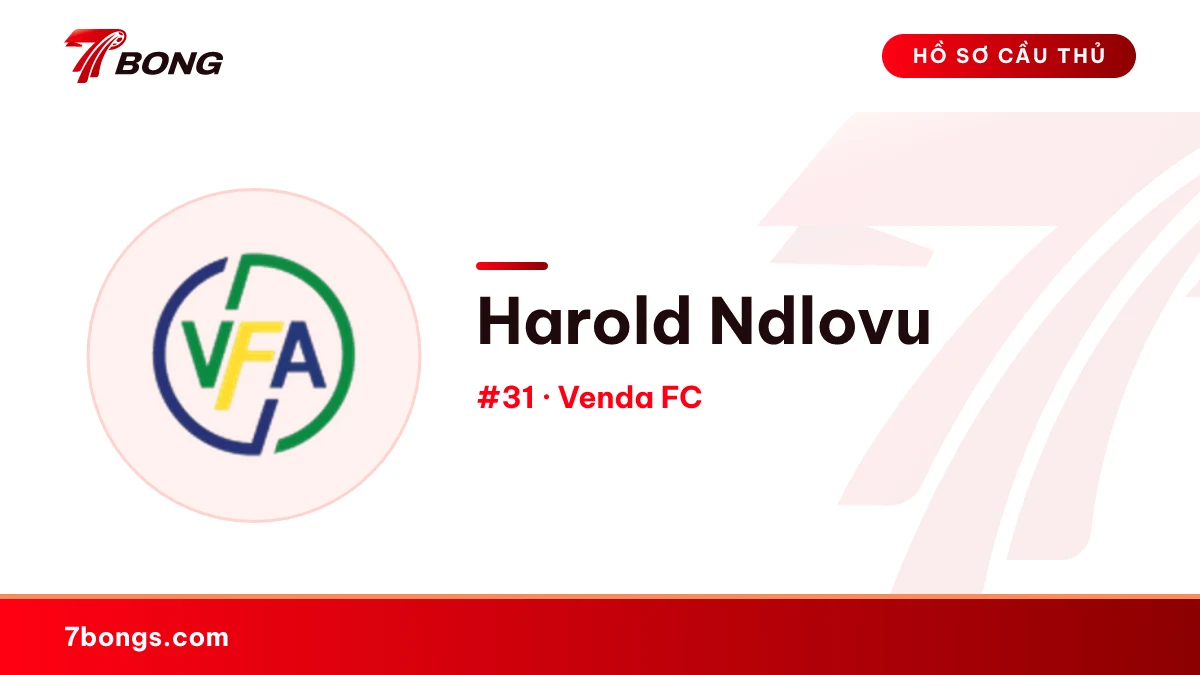 Harold Ndlovu — Venda FC