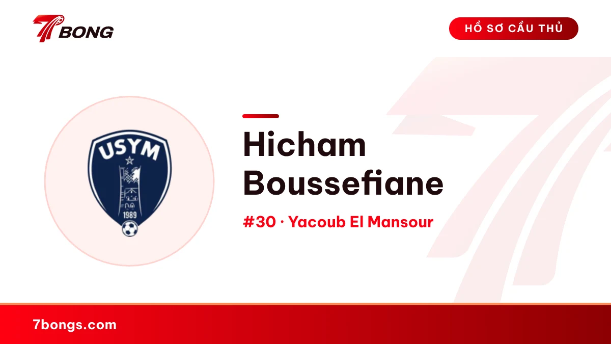 Hicham Boussefiane — Yacoub El Mansour