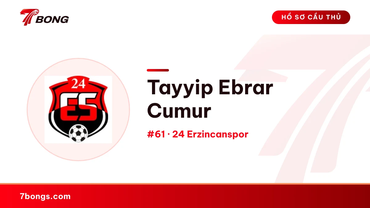 Tayyip Ebrar Cumur — 24 Erzincanspor