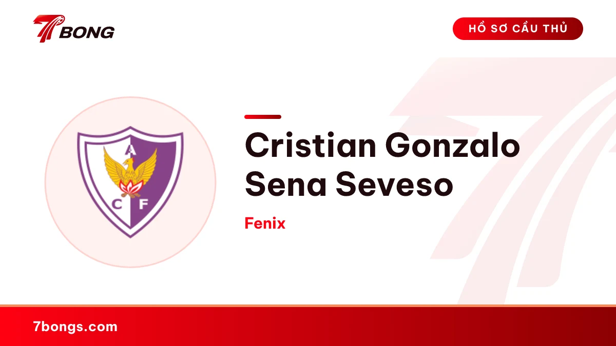Cristian Gonzalo Sena Seveso — Fenix