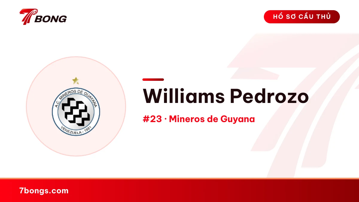 Williams Pedrozo — Mineros de Guyana