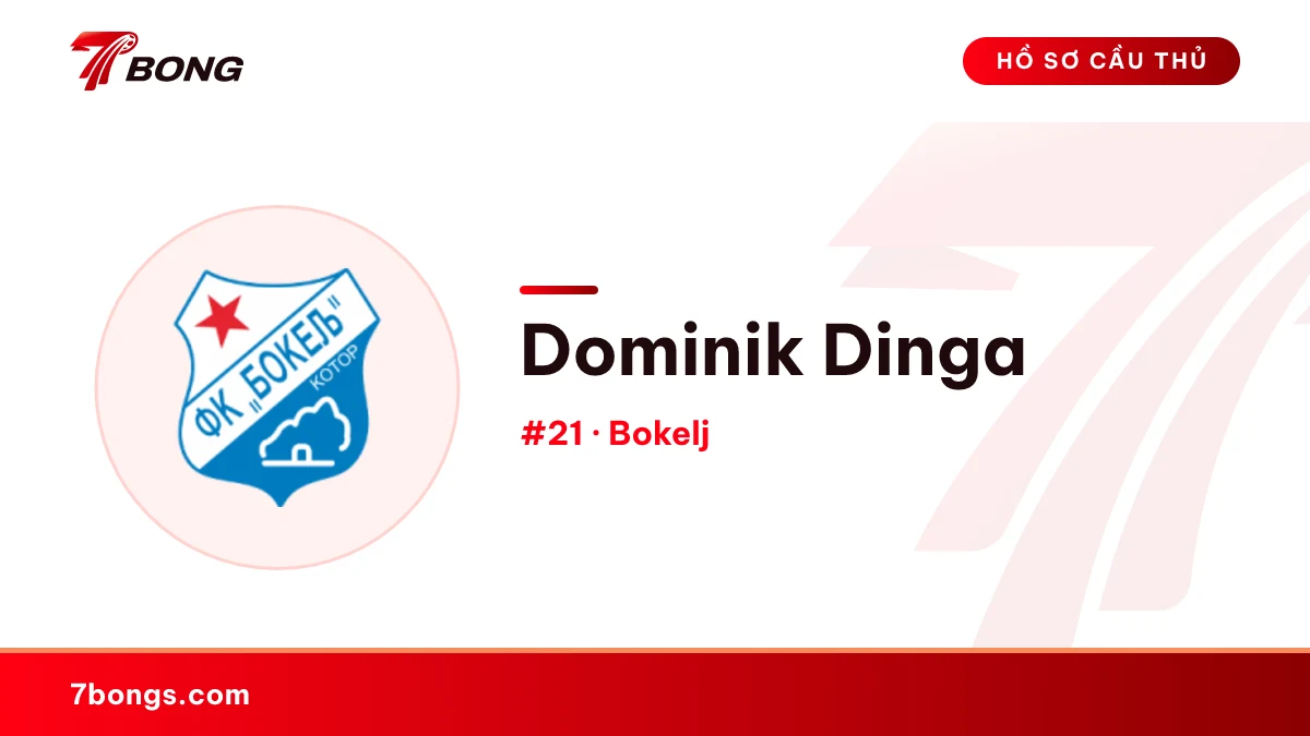Dominik Dinga — Bokelj