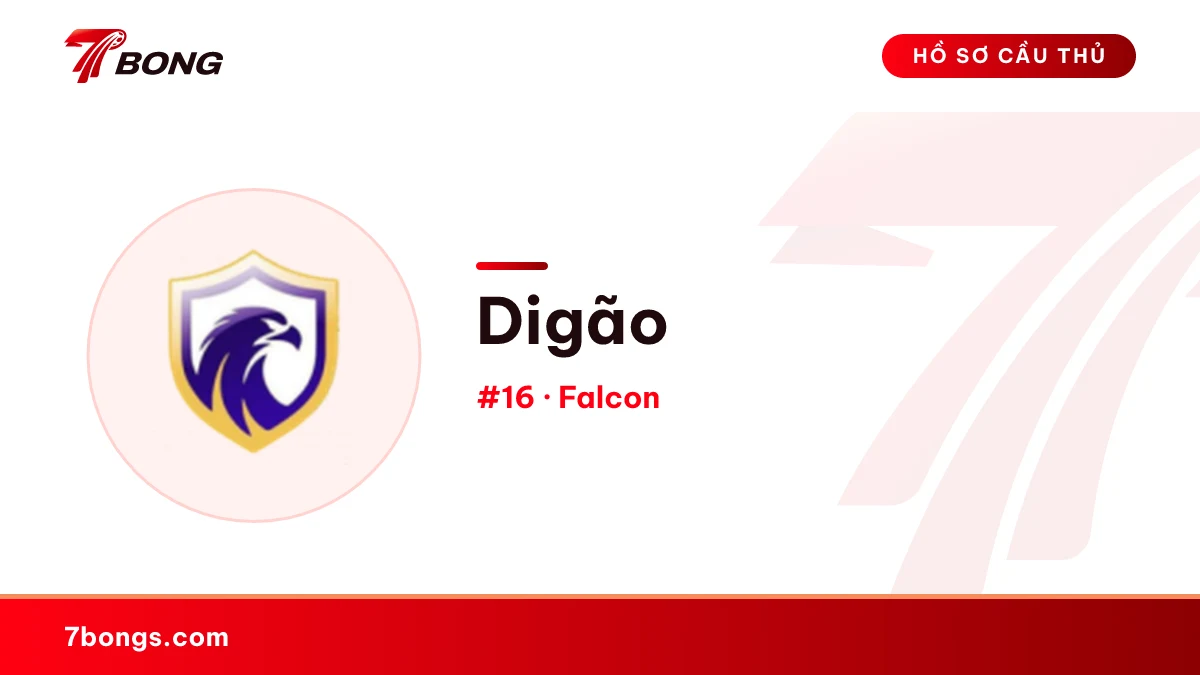 Digão — Falcon