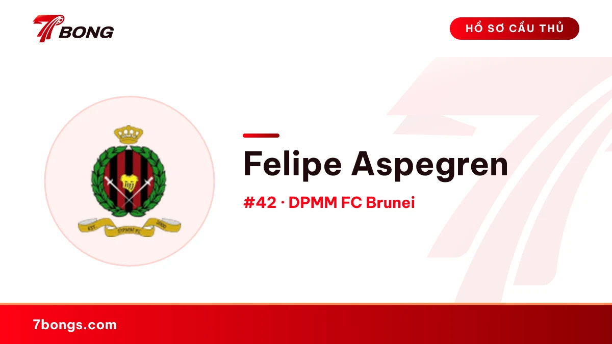 Felipe Aspegren — DPMM FC Brunei