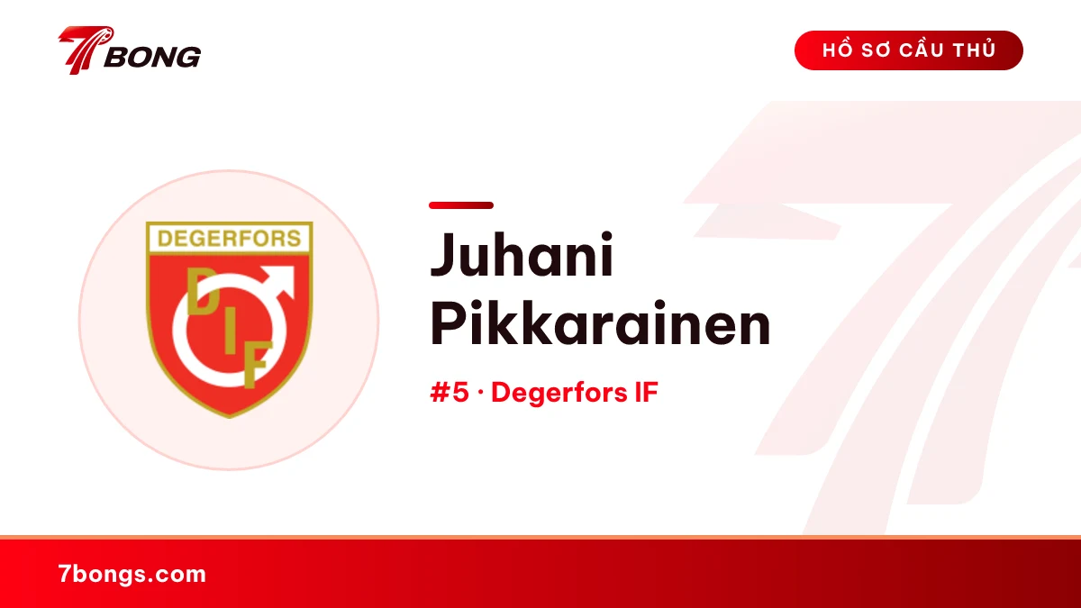 Juhani Pikkarainen — Degerfors IF