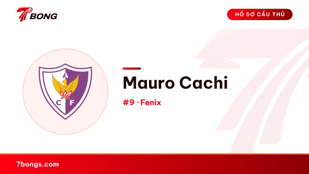 Mauro Cachi — Fenix