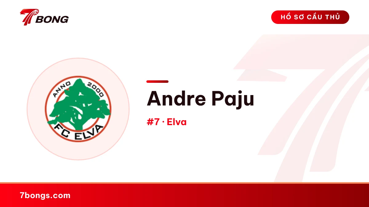Andre Paju — Elva