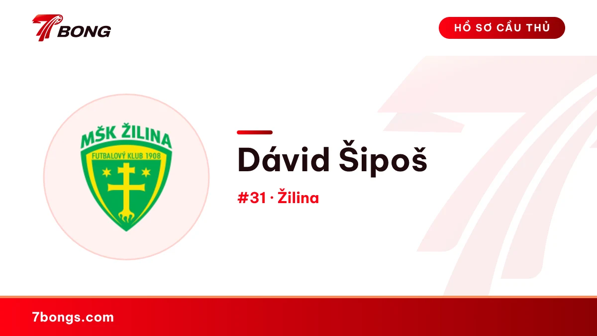 Dávid Šipoš — Žilina