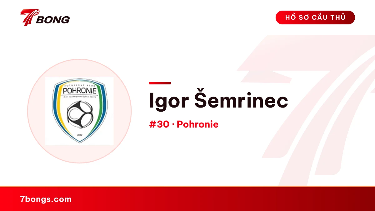 Igor Šemrinec — Pohronie