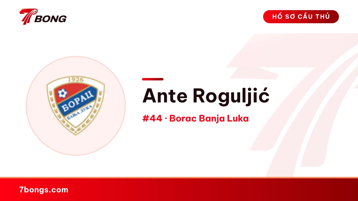 Ante Roguljić — Borac Banja Luka