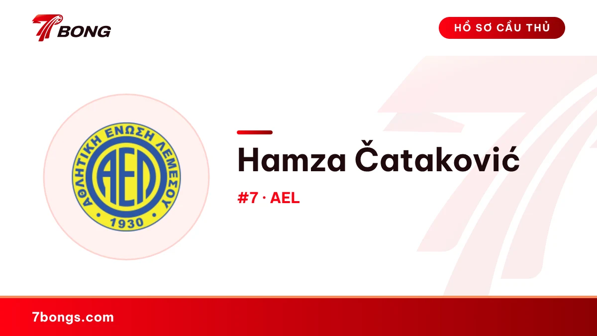 Hamza Čataković — AEL