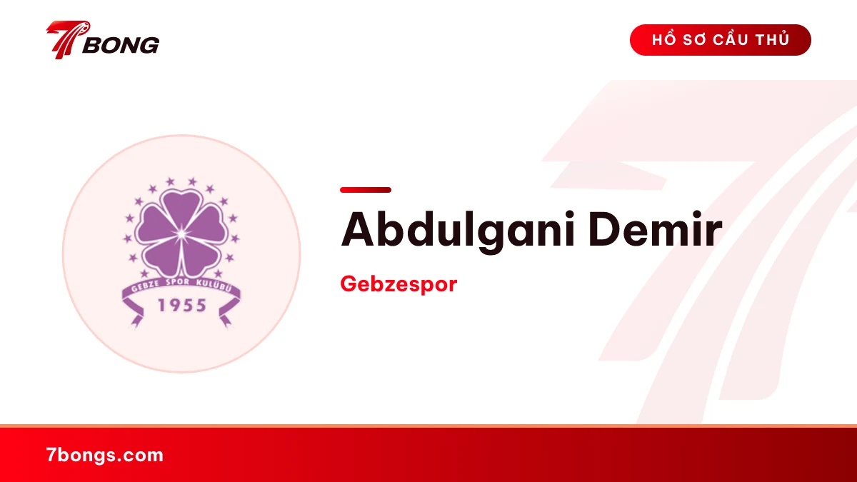 Abdulgani Demir — Gebzespor