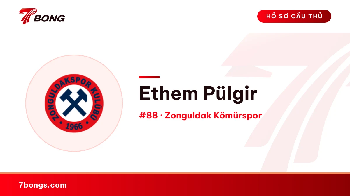 Ethem Pülgir — Zonguldak Kömürspor