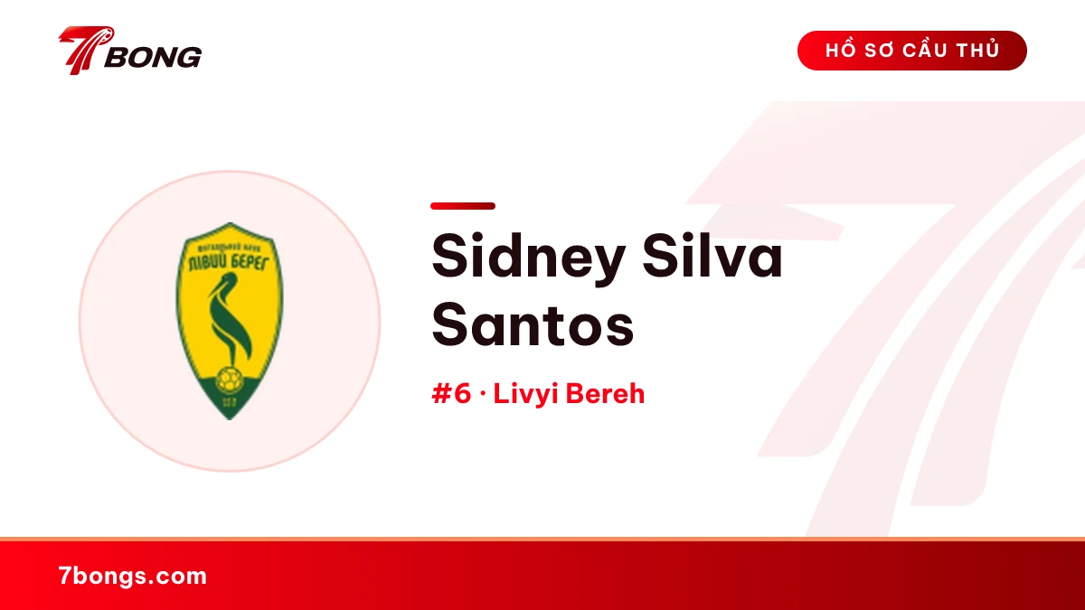Sidney Silva Santos — Livyi Bereh