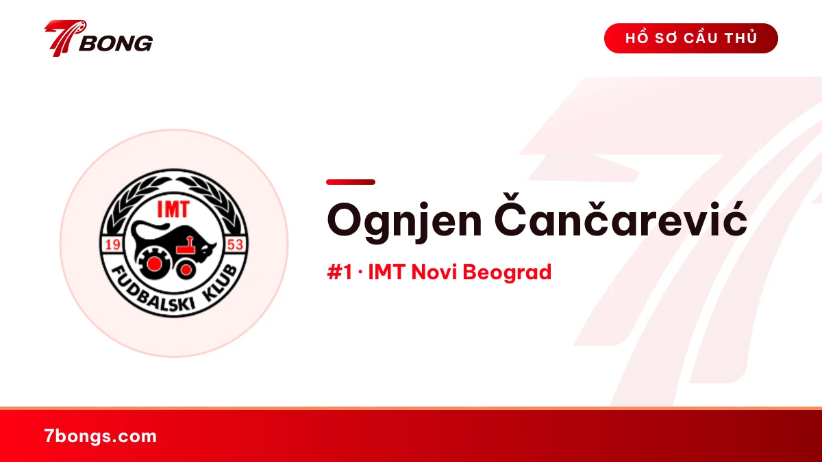 Ognjen Čančarević — IMT Novi Beograd