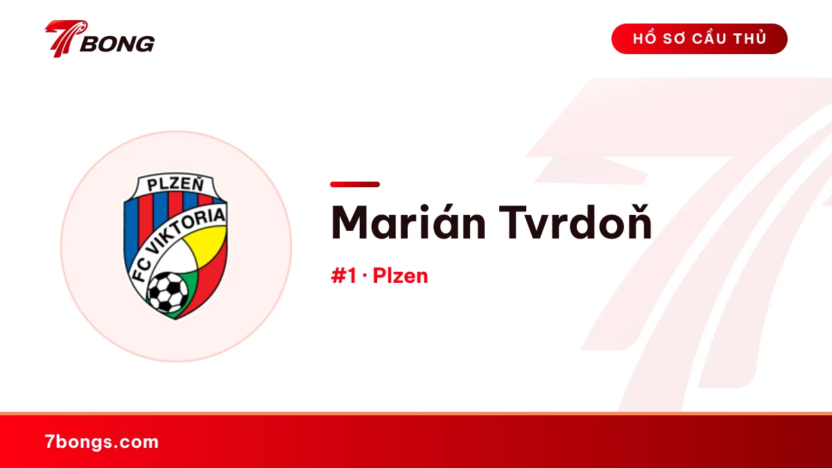 Marián Tvrdoň — Plzen