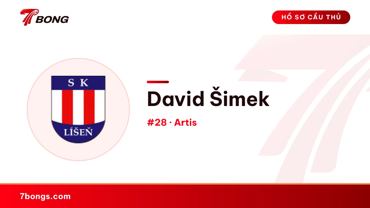 David Šimek — Artis