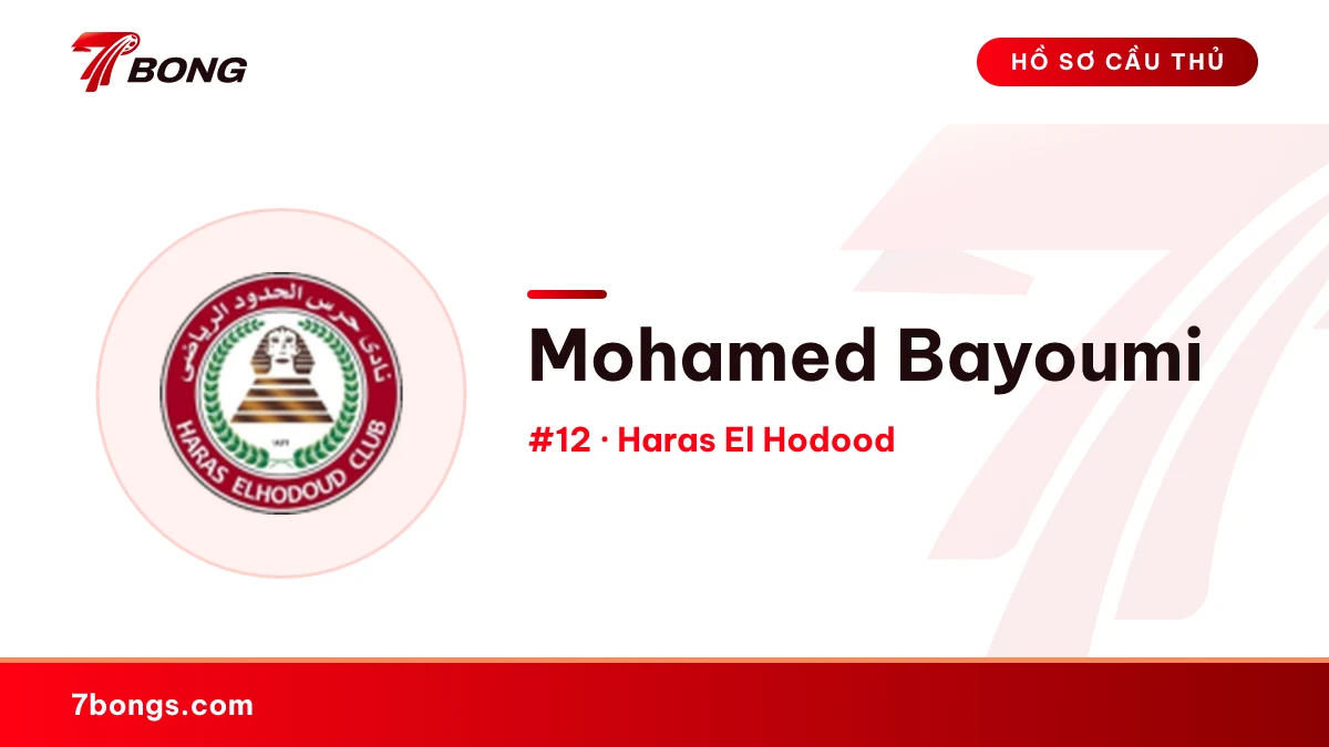 Mohamed Bayoumi — Haras El Hodood