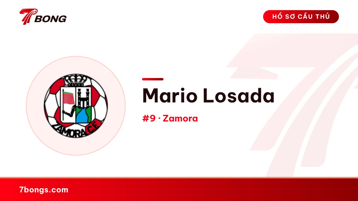 Mario Losada — Zamora