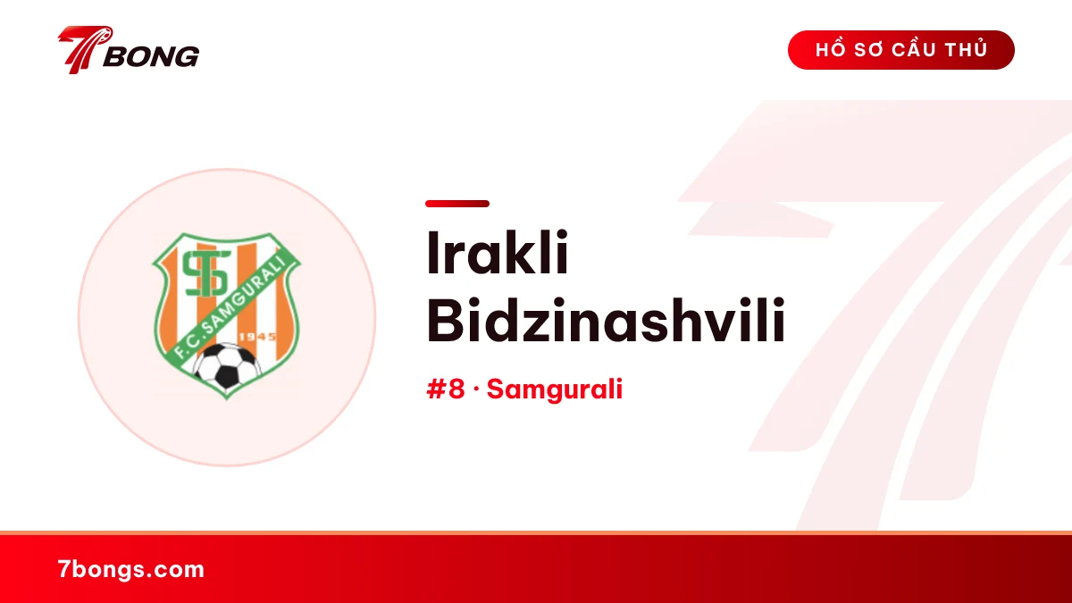 Irakli Bidzinashvili — Samgurali