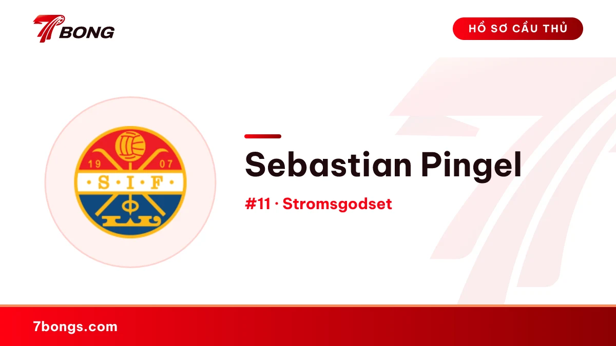 Sebastian Pingel — Stromsgodset