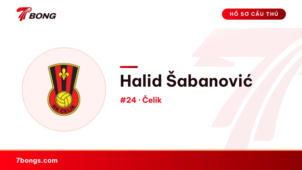 Halid Šabanović — Čelik