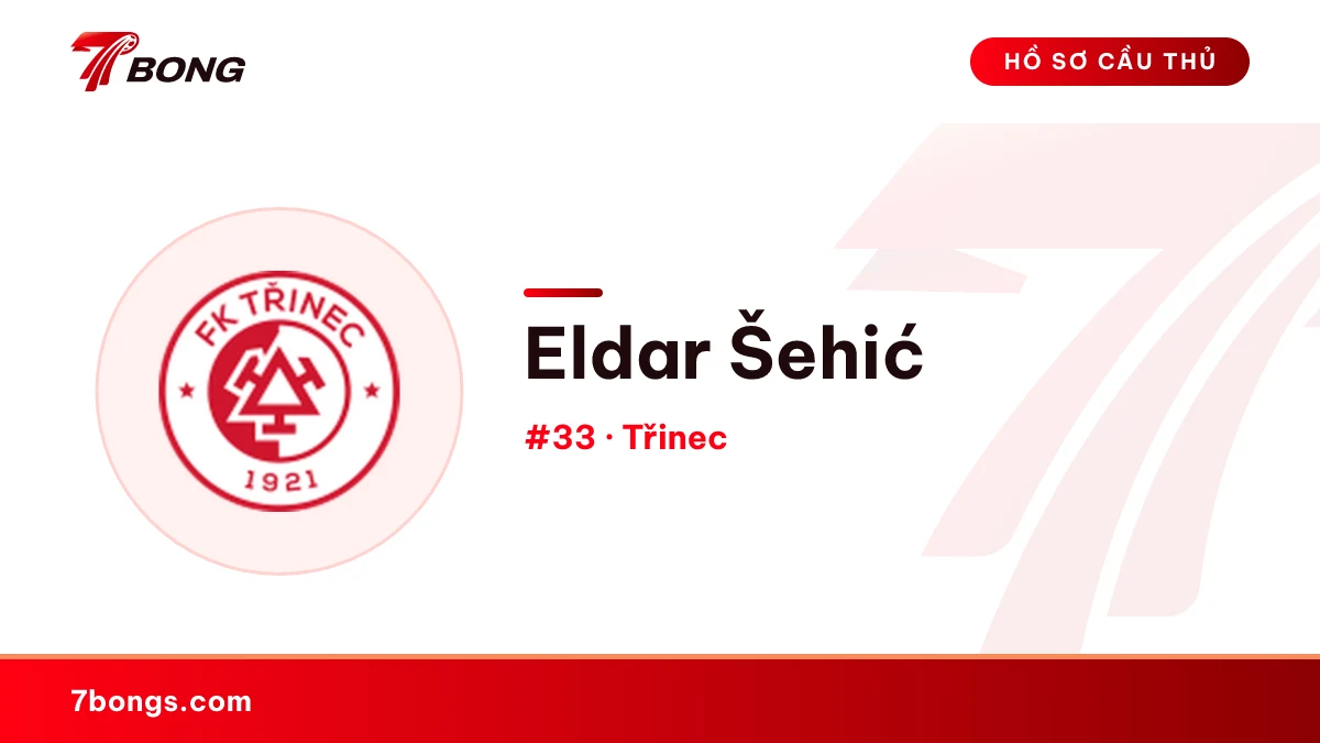 Eldar Šehić — Třinec
