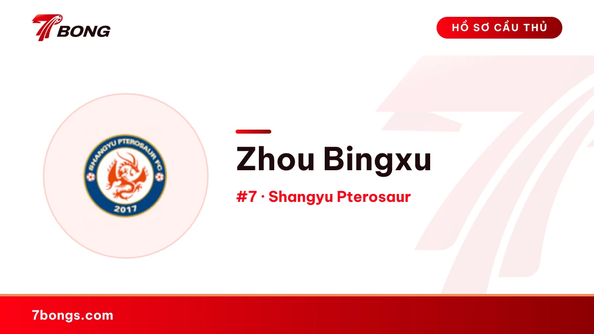 Zhou Bingxu — Shangyu Pterosaur