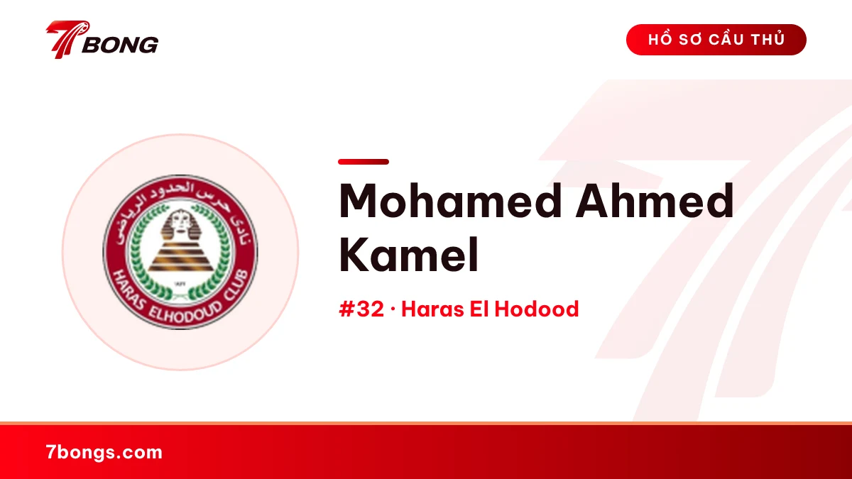 Mohamed Ahmed Kamel — Haras El Hodood
