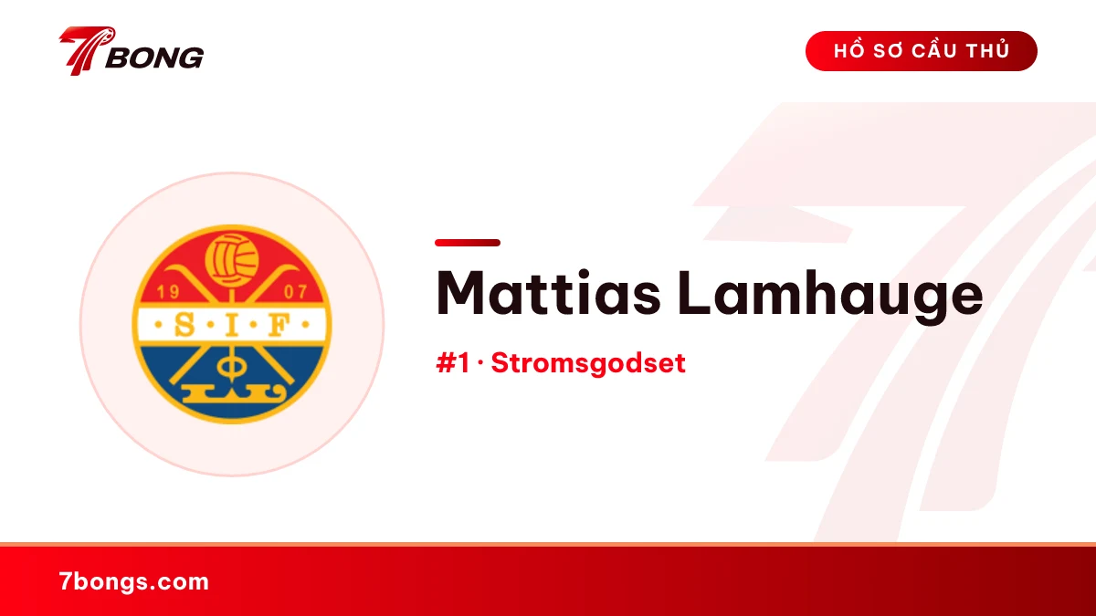 Mattias Lamhauge — Stromsgodset