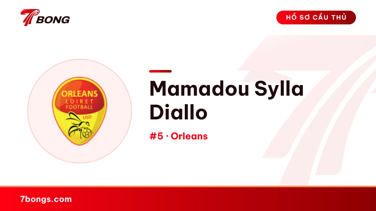 Mamadou Sylla Diallo — Orleans